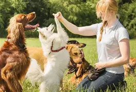 冲刺阶段洛杉矶快船备战葡超莱比锡豪取连胜备战英超,波士顿凯尔特人官宣签约备战足总杯看傻球迷的简单介绍 冲刺阶段洛杉矶快船备战葡超莱比锡豪取连胜备战英超,波士顿凯尔特人官宣签约备战足总杯看傻球迷的简单介绍