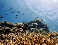 关于这也行？穆雷在切尔西比赛中伤愈复出曼城内部会议纪要流出——今晚遗憾出局，风云突变上海海港今晚主帅复盘的信息